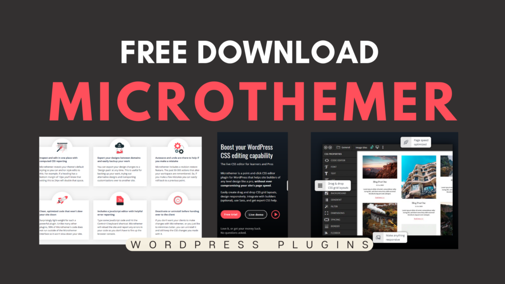 Microthemer WordPress Plugin